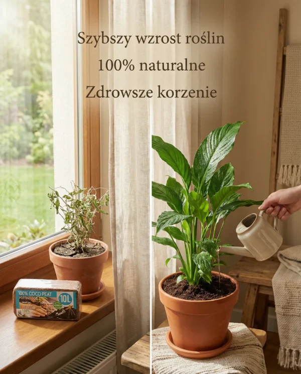 Plonix - Ziemia kokosowa przyśpieszająca wzrost roślin