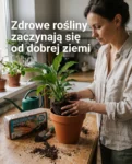 Plonix - Ziemia kokosowa przyśpieszająca wzrost roślin